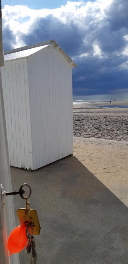 Maison En Bord De Mer بلونفيل سور مير المظهر الخارجي الصورة